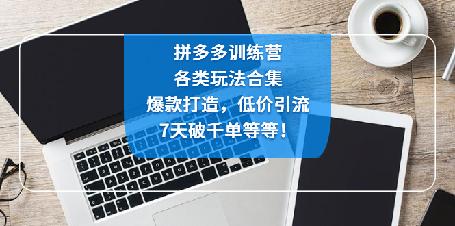 拼多多训练营：各玩法合集，爆款打造，低价引流，7天破千单等等！-寒山客