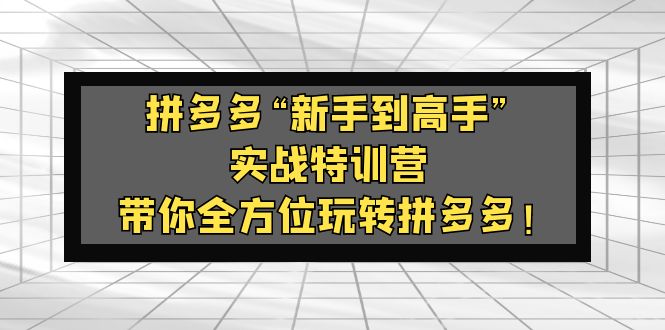 拼多多“新手到高手”实战特训营：带你全方位玩转拼多多！-寒山客