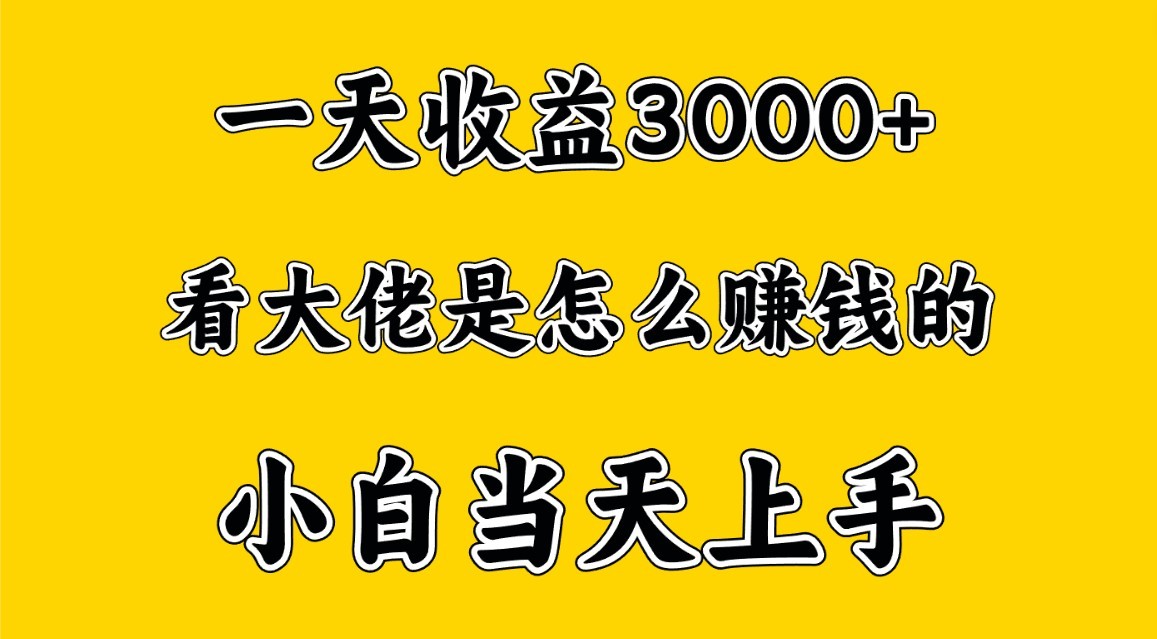 一天赚3000多，大佬是这样赚到钱的，小白当天上手，穷人翻身项目-寒衣客