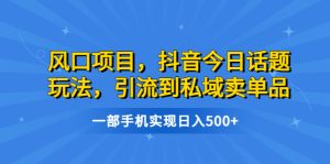 风口项目,抖音今日话题玩法,引流到私域卖单品,一部手机实现日入500+-寒山客