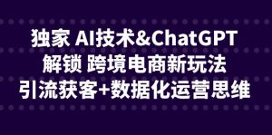 独家 AI技术&ChatGPT解锁 跨境电商新玩法,引流获客+数据化运营思维-寒山客