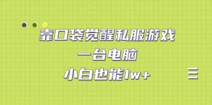 靠口袋觉醒私服游戏，一台电脑，小白也能1w+（教程+工具+资料）-寒山客