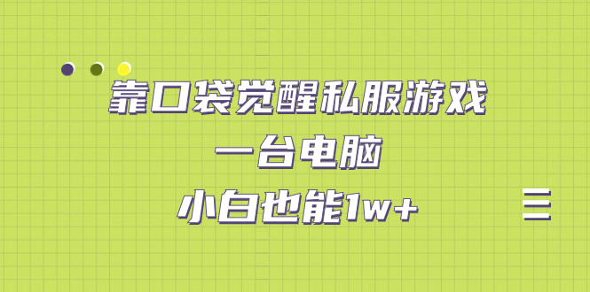 靠口袋觉醒私服游戏，一台电脑，小白也能1w+（教程+工具+资料）-寒山客