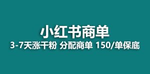 2023最强蓝海项目,小红书商单项目,没有之一!-寒山客