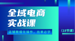 全域电商实战课,个人店铺精细化操作流程,出单必学内容(18节课)-寒山客
