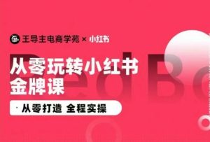 王导主·小红书电商运营实操课,从零打造  全程实操-寒山客