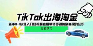 (10035期)TikTok-出海淘金,新手0-1快速入门短视频直播带货等引流到变现的知识-寒山客