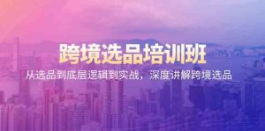 跨境选品培训班:从选品到底层逻辑到实战,深度讲解跨境选品-寒山客