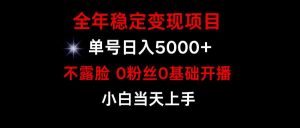 （9798期）小游戏月入15w+，全年稳定变现项目，普通小白如何通过游戏直播改变命运-寒山客