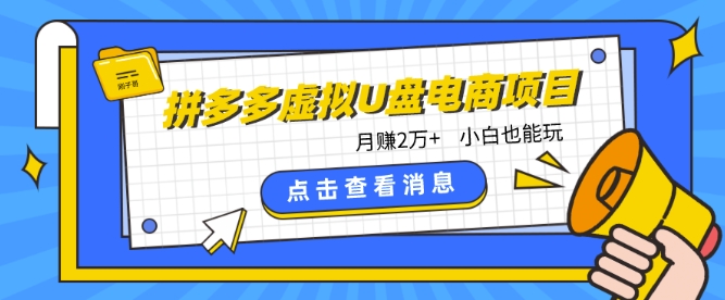 拼多多虚拟U盘电商红利项目：月赚2万+，新手小白也能玩-寒衣客