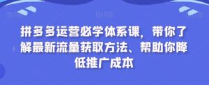 拼多多运营必学体系课,带你了解最新流量获取方法、帮助你降低推广成本-寒山客