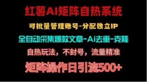 红薯矩阵自热系统，独家不死号引流玩法！矩阵操作日引流500+-寒山客