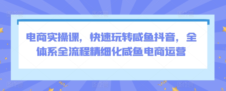 电商实操课，快速玩转咸鱼抖音，全体系全流程精细化咸鱼电商运营-寒衣客