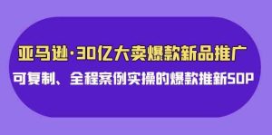 (9944期)亚马逊30亿·大卖爆款新品推广,可复制、全程案例实操的爆款推新SOP-寒山客