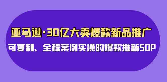 （9944期）亚马逊30亿·大卖爆款新品推广，可复制、全程案例实操的爆款推新SOP-寒山客