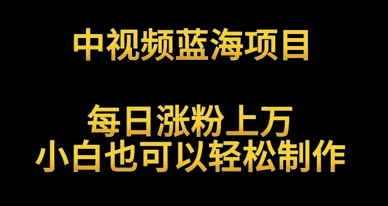 中视频蓝海项目，解读英雄人物生平，每日涨粉上万，小白也可以轻松制作，月入过万不是梦-寒山客