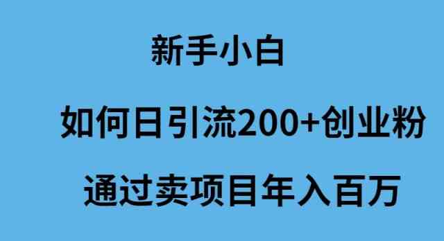 （9668期）新手小白如何日引流200+创业粉通过卖项目年入百万-寒山客