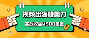 国内爆款视频出海赚美刀,实战收益4500美金,批量无脑搬运,无需经验直接上手-寒山客