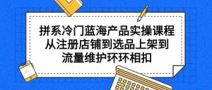 （9527期）拼系冷门蓝海产品实操课程，从注册店铺到选品上架到流量维护环环相扣-寒山客