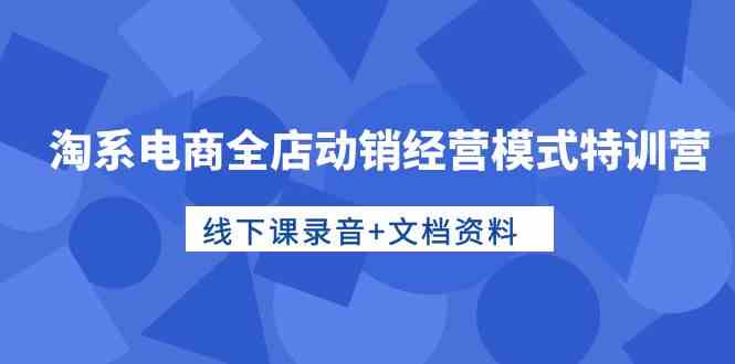 淘系电商全店动销经营模式特训营，线下课录音+文档资料-寒衣客