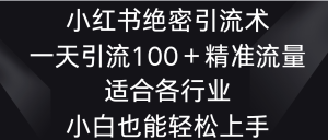 小红书绝密引流术，一天引流100＋精准流量，适合各个行业，小白也能轻松上手-寒山客