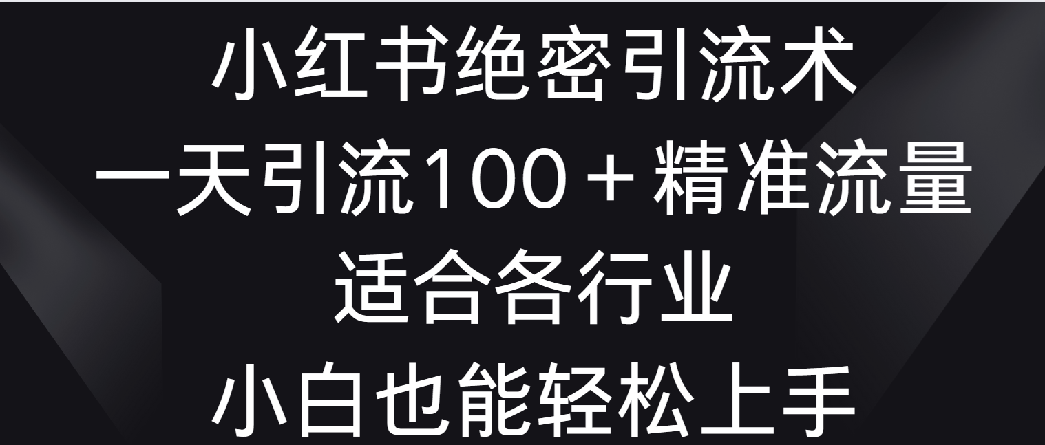 小红书绝密引流术，一天引流100＋精准流量，适合各个行业，小白也能轻松上手-寒衣客