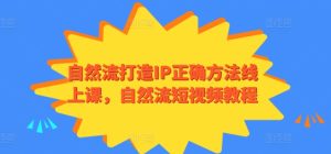 自然流打造IP正确方法线上课，自然流短视频教程-寒山客