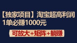 独家淘宝超高利润项目：1单必赚1000元，可放大可矩阵操作-寒山客