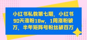 小红书私教第七期，小红书90天涨粉18w，1周涨粉破万，半年矩阵号粉丝破百万-寒山客