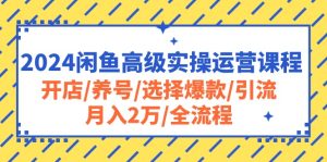 （10711期）2024闲鱼高级实操运营课程：开店/养号/选择爆款/引流/月入2万/全流程-寒山客
