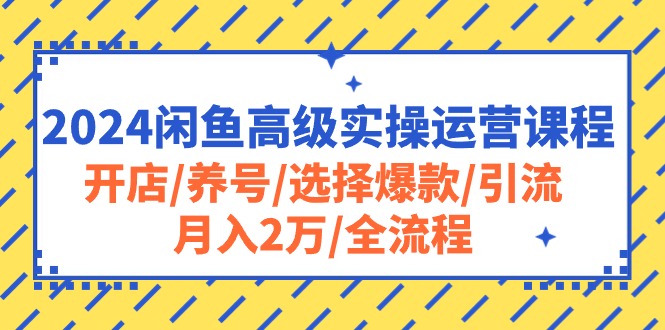 （10711期）2024闲鱼高级实操运营课程：开店/养号/选择爆款/引流/月入2万/全流程-寒山客