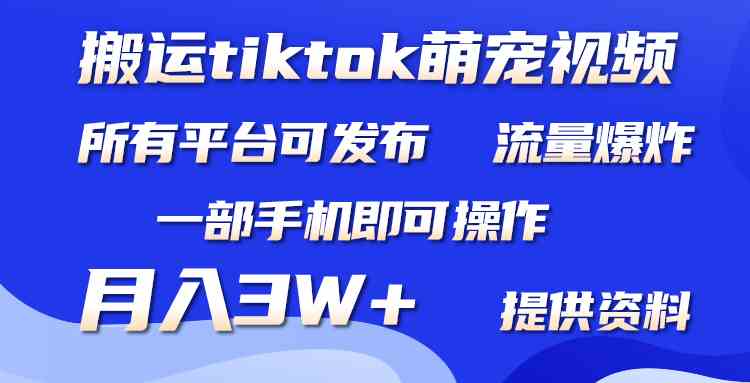 （9618期）搬运Tiktok萌宠类视频，一部手机即可。所有短视频平台均可操作，月入3W+-寒山客