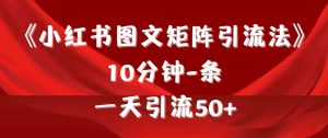 （9538期）《小红书图文矩阵引流法》 10分钟-条 ，一天引流50+-寒山客