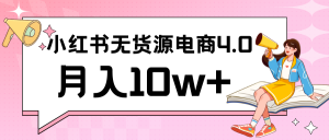 小红书新电商实战 无货源实操从0到1月入10w+ 联合抖音放大收益-寒山客