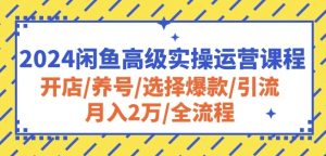 2024闲鱼高级实操运营课程:开店/养号/选择爆款/引流/月入2万/全流程-寒山客