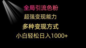 (9680期)全局引流色粉 超强变现能力 多种变现方式 小白轻松日入1000+-寒山客