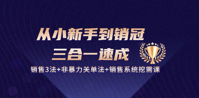 从小新手到销冠三合一速成：销售3法+非暴力关单法+销售系统挖需课 (27节)-寒山客