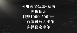 利用淘宝公域+私域差价掘金，日赚1000-5000元，工作室可放大操作，实操…-寒山客