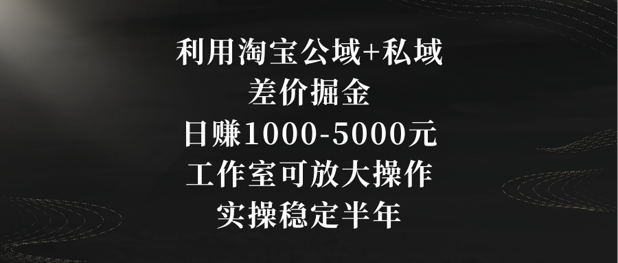 利用淘宝公域+私域差价掘金，日赚1000-5000元，工作室可放大操作，实操…-寒衣客