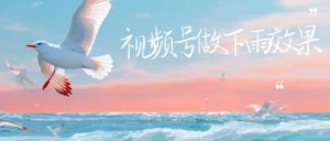 视频号做下雨视频一个账号一周涨粉10W+年入100w-寒山客