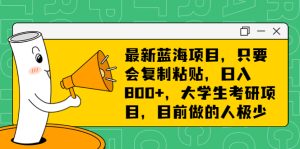 最新蓝海项目,只要会复制粘贴,日入800+,大学生考研项目,目前做的人极少-寒山客