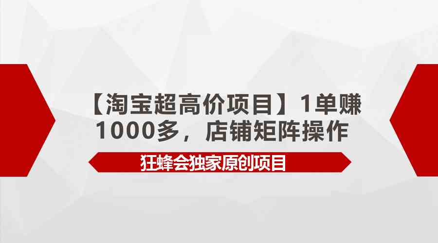 （9849期）【淘宝超高价项目】1单赚1000多，店铺矩阵操作-寒山客