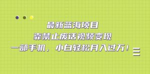 最新蓝海项目,靠禁止废话视频变现,一部手机,小白轻松月入过万!-寒山客