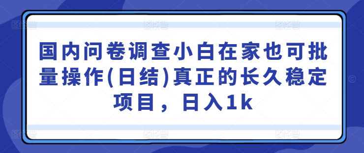 国内问卷调查小白在家也可批量操作(日结)真正的长久稳定项目，日入1k【揭秘】-寒山客