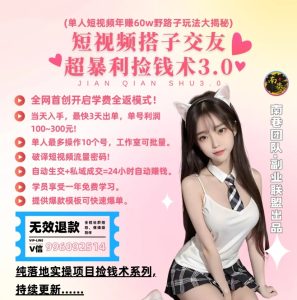 单人短视频年赚60w野路子玩法大揭秘，短视频搭子交友超暴利捡钱术3.0-寒山客