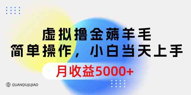 （9864期）虚拟撸金薅羊毛，简单操作，小白当天上手，月收益5000+-寒衣客