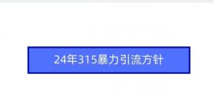 24年315暴力引流方针-寒山客