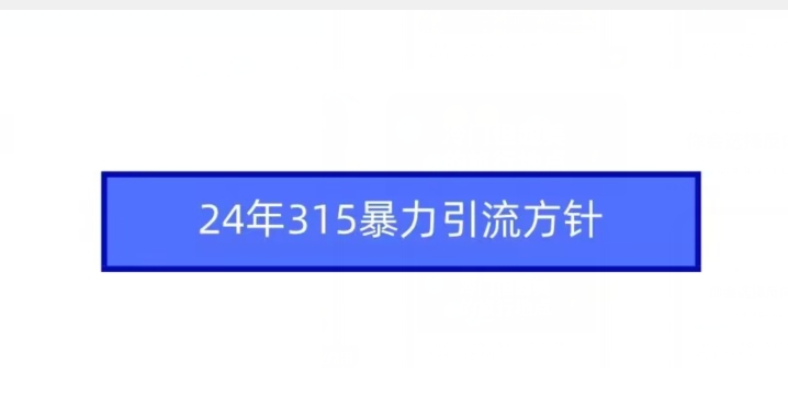 24年315暴力引流方针-寒山客