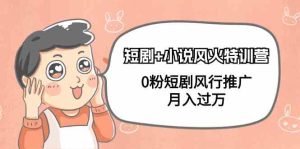 (9374期)短剧+小说风火特训营,0粉短剧风行推广,月入过万(102节课)-寒山客