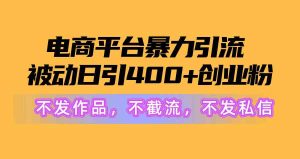 （10168期）电商平台暴力引流,被动日引400+创业粉不发作品，不截流，不发私信-寒山客
